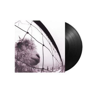 PEARL JAM - VS. - VINYL LP - Wah Wah Records
