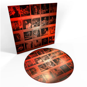 CHRIS CORNELL - NO ONE SINGS LIKE YOU ANYMORE VOL.1 - PICTURE DISC VINYL LP - Wah Wah Records