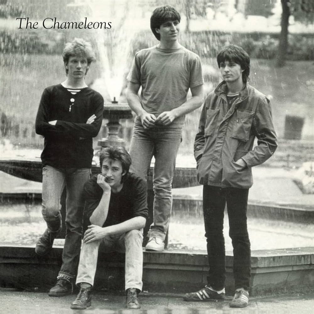 THE CHAMELEONS - TONY FLETCHER WALKED ON WATER LA LA LA LA LA LA LA LA LA LA - VINYL LP - Wah Wah Records