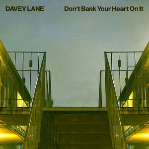 DAVEY LANE - DON'T BANK YOUR HEART ON IT - VINYL LP- Wah Wah Records