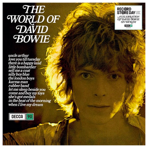 DAVID BOWIE - THE WORLD OF DAVID BOWIE - VINYL - Wah Wah Records