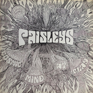 THE PAISLEYS - COSMIC MIND AT PLAY - VINYL LP - Wah Wah Records
