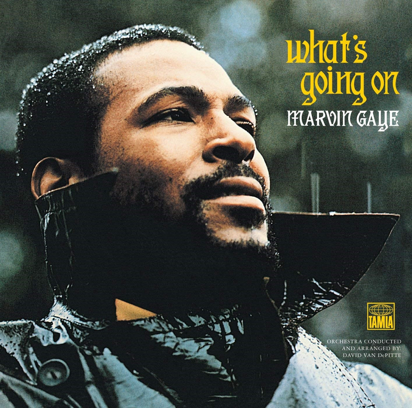 MARVIN GAYE - WHAT'S GOING ON - VINYL LP - Wah Wah Records